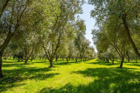 Photo of property in 227 Lord Rutherford Road South, Brightwater, 7091