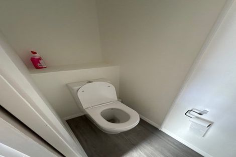 Photo of property in 3 Newcastle Street, Hokowhitu, Palmerston North, 4410