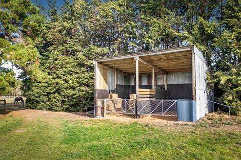 Photo of property in 321 Southbridge Leeston Road, Leeston, 7683