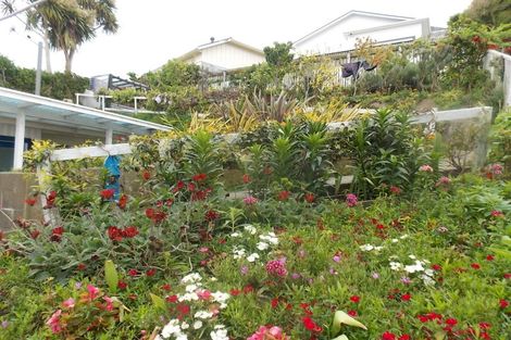 Photo of property in 6 Rewa Road, Hataitai, Wellington, 6021