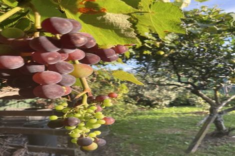 Photo of property in 89 Greenwood Street, Motueka, 7120