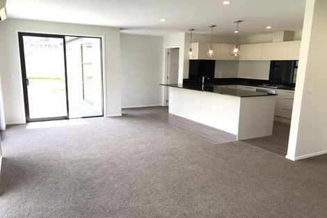 Photo of property in 92 Hillpark Drive, Pokeno, 2402