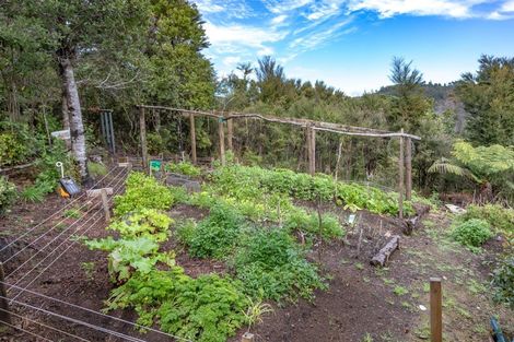 Photo of property in 399c Tairua Whitianga Road, Whenuakite, Whitianga, 3591