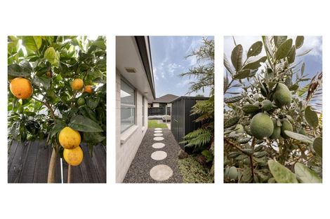 Photo of property in 6 Lakeside Terrace, Omokoroa, 3114