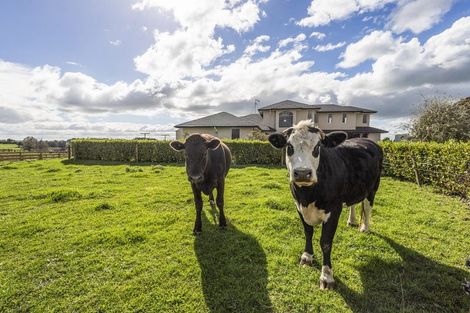 Photo of property in 2459 Cambridge Road, Te Awamutu, 3879