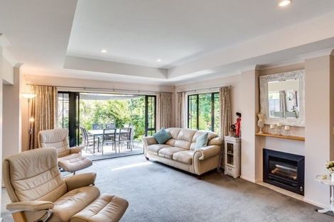 Photo of property in 45 Fairview Place, Havelock North, 4130