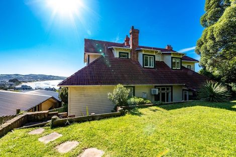 Photo of property in 100 Norfolk Street, Saint Clair, Dunedin, 9012