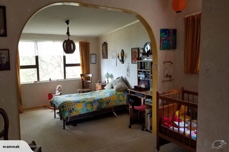 Photo of property in 190 Boiler Gully Road, Manukau Heads, Waiuku, 2684