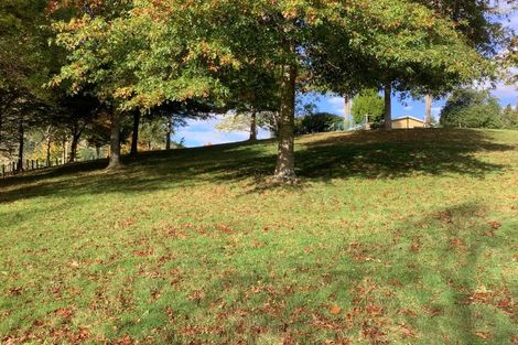 Photo of property in 759 Wakamarina Road, Wakamarina, Havelock, 7178