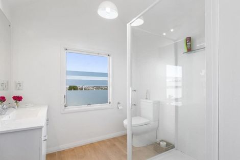 Photo of property in 16 Lawson Street, Roslyn, Dunedin, 9011