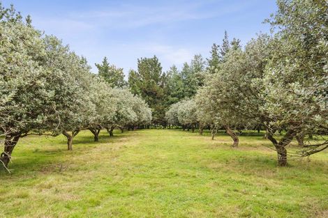 Photo of property in 108 State Highway 57, Levin, 5510