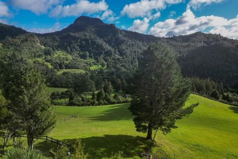 Photo of property in 555 Mill Creek Road, Kaimarama, Whitianga, 3591