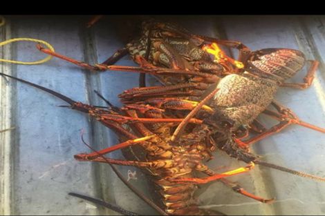 Photo of property in 3 Morton Street, Tuatapere, 9620