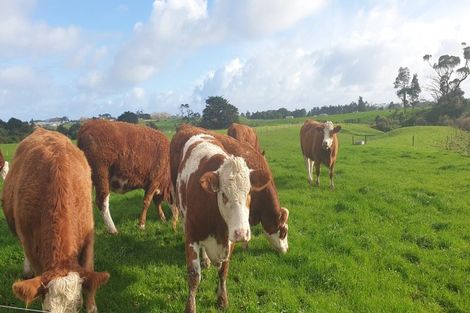 Photo of property in 412a Corbett Road, Lepperton, New Plymouth, 4373