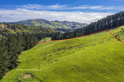 Photo of property in 1228 Greta Road, Greta Valley, 7387