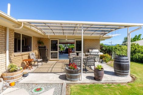 Photo of property in 49 Hillcrest Avenue, Witherlea, Blenheim, 7201