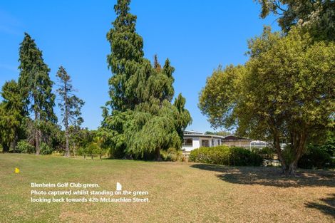 Photo of property in 42b Mclauchlan Street, Springlands, Blenheim, 7201