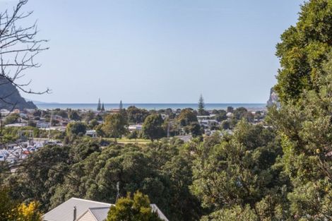 Photo of property in 117 Waireka Place, Whangamata, 3620