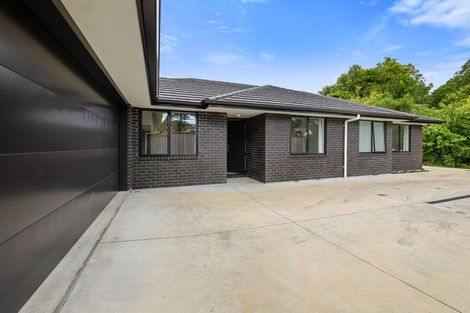 Photo of property in 278a Tukapa Street, Hurdon, New Plymouth, 4310