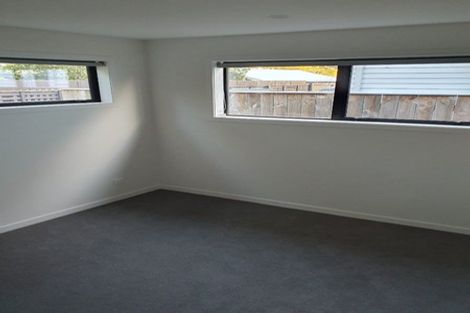 Photo of property in 24 Palm Avenue, Hokowhitu, Palmerston North, 4410