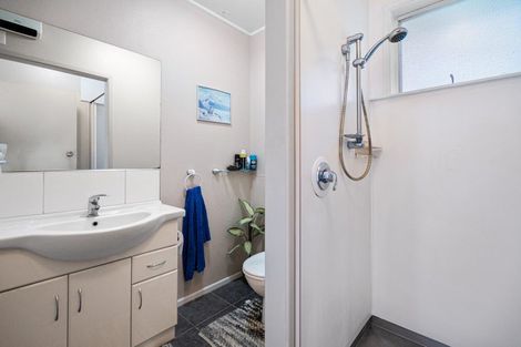 Photo of property in 52 Vine Avenue, Maungatapu, Tauranga, 3112