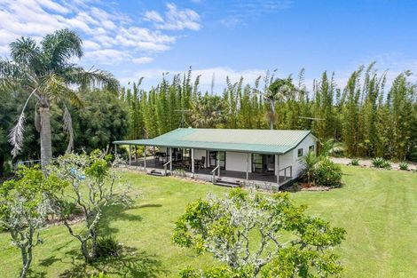 Photo of property in 15 Insley Street, Mangawhai, 0505