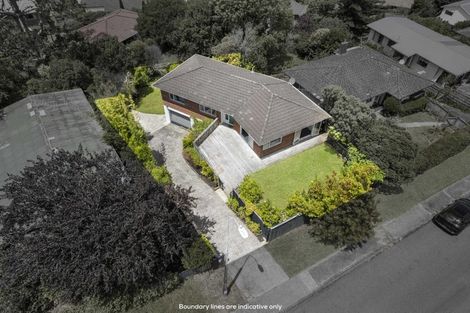 Photo of property in 41 Woodstock Road, Forrest Hill, Auckland, 0620
