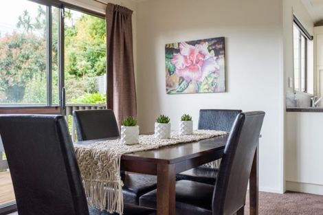 Photo of property in 95 Opoho Road, Opoho, Dunedin, 9010