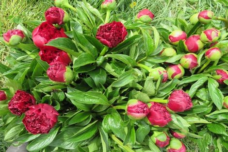 Photo of property in 237 School Road, West Eyreton, Rangiora, 7475