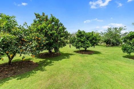 Photo of property in 279 Peak Road, Kaukapakapa, Helensville, 0875