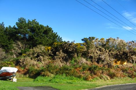 Photo of property in 50 Pearce Street, Bluff, 9814