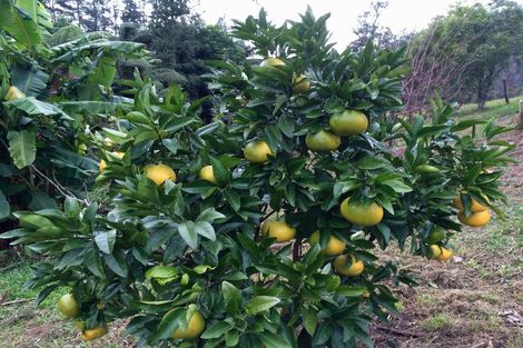 Photo of property in 121b Waimate North Road, Kerikeri, 0293