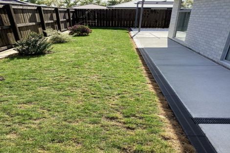 Photo of property in 8 Drayton Street, Richmond, 7020