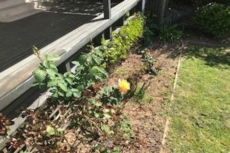 Photo of property in 19 Bramley Drive, Omokoroa, 3114