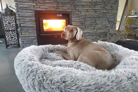 Photo of property in 15 Estrella Heights Lane, Queensberry, Cromwell, 9383