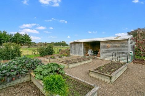 Photo of property in 19 Camdon Place, Tamahere, Hamilton, 3283