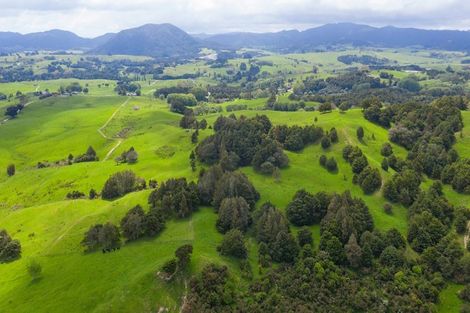 Photo of property in 229 Settlement Road, Kaiwaka, 0573