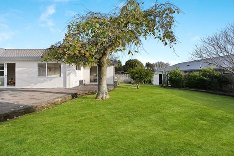 Photo of property in 34 Macmurdo Avenue, Glenview, Hamilton, 3206