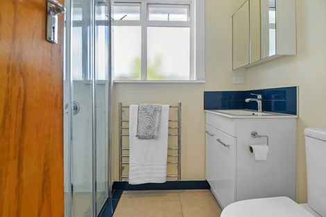 Photo of property in 243 Clarkin Road, Fairfield, Hamilton, 3214