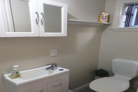 Photo of property in 60 Austin Street, Mount Victoria, Wellington, 6011