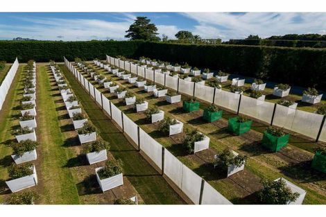 Photo of property in 581 Kerikeri Road, Kerikeri, 0293