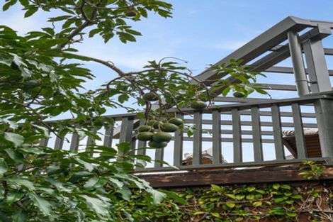 Photo of property in 37 Lloyd Road, Riverhead, Albany, 0793