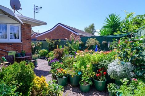 Photo of property in 24a Toko Street, Victoria, Rotorua, 3010