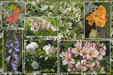 Photo of property in 38 Harley Close, Hauraki, Auckland, 0622