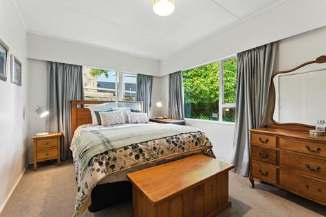 Photo of property in 32 Tararua Street, Pahiatua, 4910