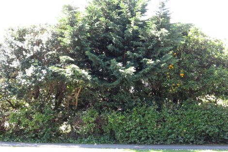 Photo of property in 210 Rutene Road, Kaiti, Gisborne, 4010