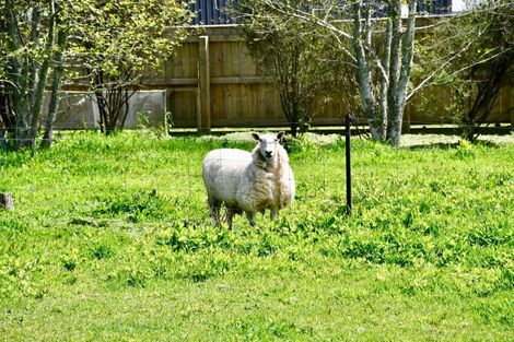 Photo of property in 131 Oparara Road, Karamea, 7893