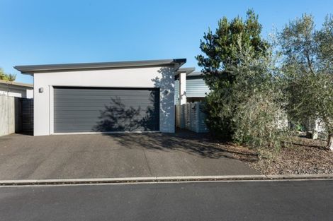 Photo of property in 17 Jude Way, Brookfield, Tauranga, 3110