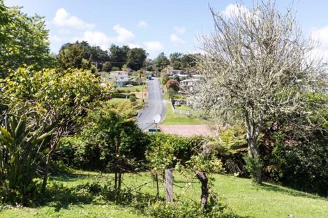 Photo of property in 49 Albert Street, Kawakawa, 0210