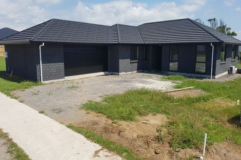 Photo of property in 21 Dreaver Drive, Waitara, 4320